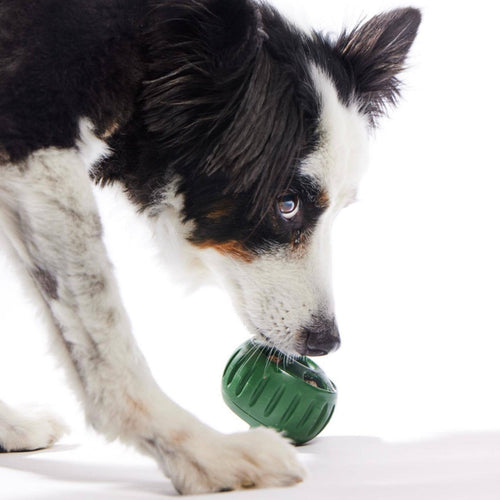 LAST CHANCE! 55% Off Peapetal™ Ball - Save Your Shoes & Sanity! 👟🐕