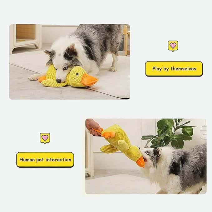 LAST DAY SALE-55% OFF 🔥 Calming Duck Toy