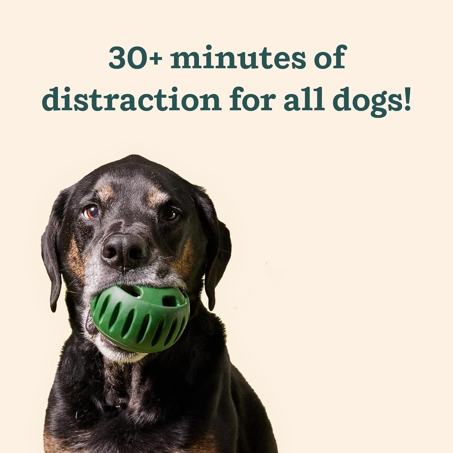 LAST CHANCE! 55% Off Peapetal™ Ball - Save Your Shoes & Sanity! 👟🐕