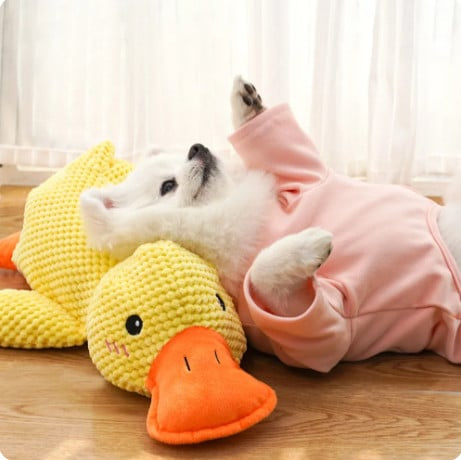 LAST DAY SALE-55% OFF 🔥 Calming Duck Toy
