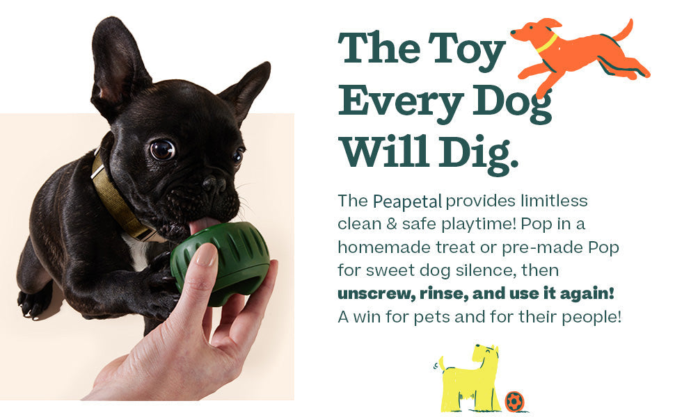 LAST CHANCE! 55% Off Peapetal™ Ball - Save Your Shoes & Sanity! 👟🐕