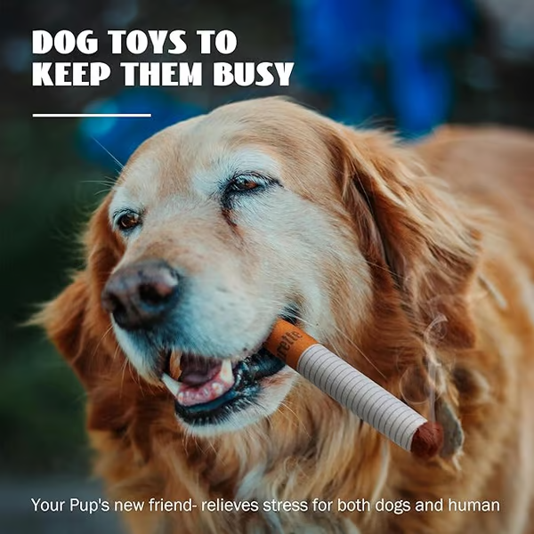 🐶Puppy Cigar Box Chew Toy - Set of 3 Squeaky Plush Cigars with Secret Treat Hideout