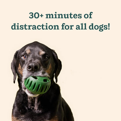 LAST CHANCE! 55% Off Peapetal™ Ball - Save Your Shoes & Sanity! 👟🐕