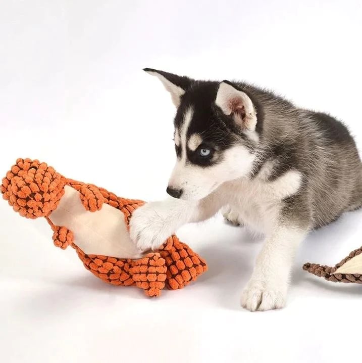Hot Sale 80% OFF 🔥 Peapetal™ Squeaky Dinosaur Toy – Perfect for Chew-Loving Pets