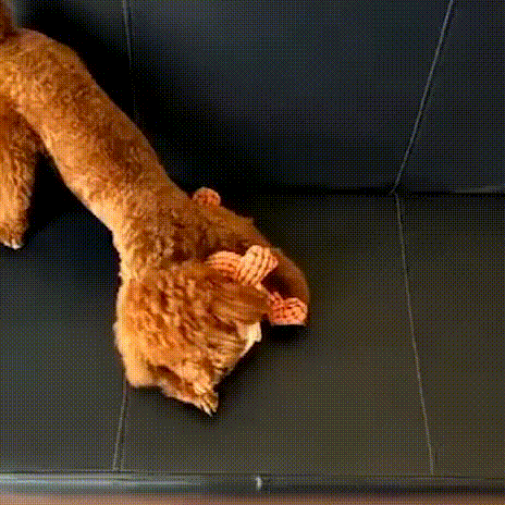 Hot Sale 80% OFF 🔥 Peapetal™ Squeaky Dinosaur Toy – Perfect for Chew-Loving Pets